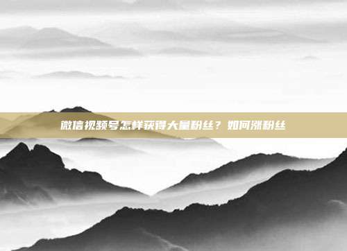 微信视频号怎样获得大量粉丝?如何涨粉丝