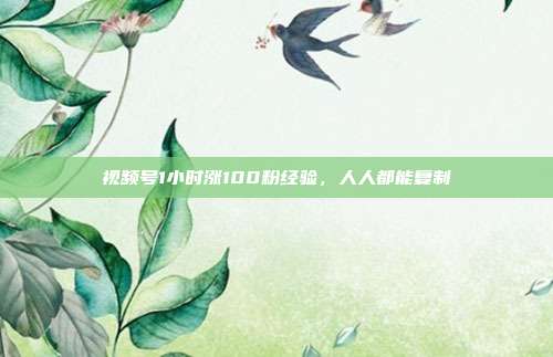 视频号1小时涨100粉经验,人人都能复制