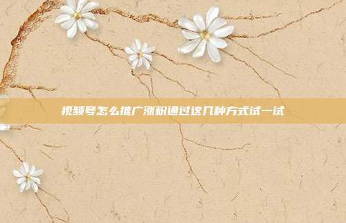 视频号怎么推广涨粉通过这几种方式试一试