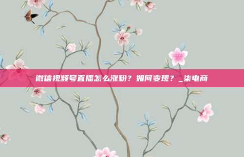 微信视频号直播怎么涨粉？如何变现？_柒电商