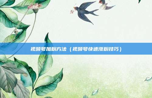 视频号加粉方法（视频号快速涨粉技巧）
