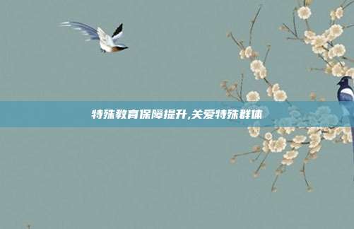 特殊教育保障提升,关爱特殊群体