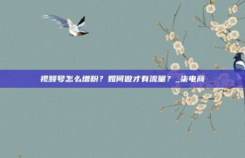 视频号怎么增粉?如何做才有流量?_柒电商