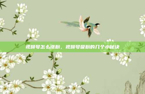 视频号怎么涨粉,视频号吸粉的几个小秘诀
