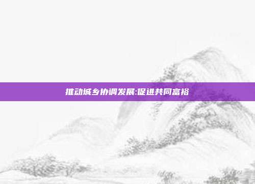 推动城乡协调发展:促进共同富裕