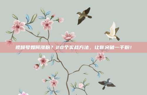 视频号如何涨粉?20个实战方法,让你突破一千粉!