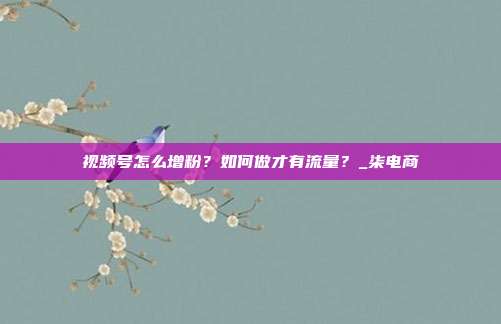 视频号怎么增粉?如何做才有流量?_柒电商