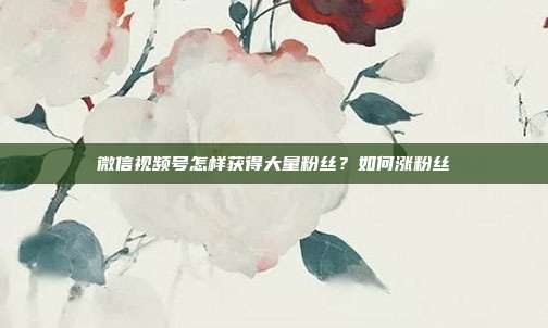 微信视频号怎样获得大量粉丝?如何涨粉丝