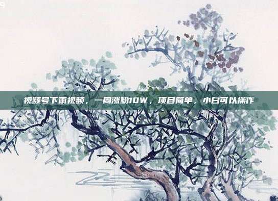 视频号下雨视频,一周涨粉10W,项目简单,小白可以操作