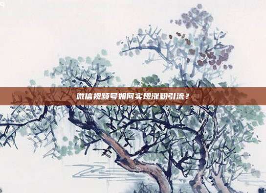 微信视频号如何实现涨粉引流?