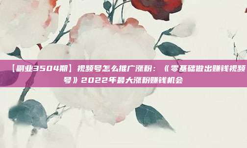 【副业3504期】视频号怎么推广涨粉:《零基础做出赚钱视频号》2022年最大涨粉赚钱机会