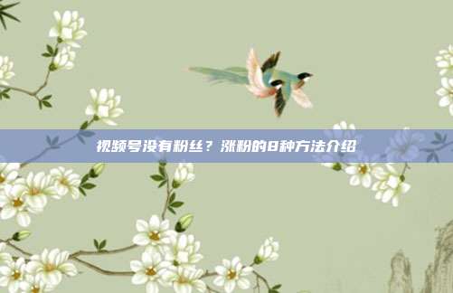 视频号没有粉丝?涨粉的8种方法介绍