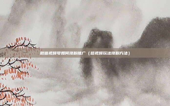 微信视频号如何涨粉推广(短视频玩法涨粉方法)