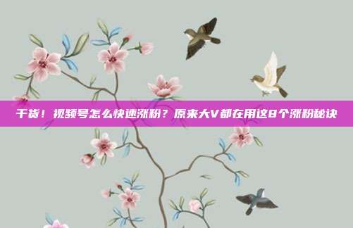 干货!视频号怎么快速涨粉?原来大V都在用这8个涨粉秘诀