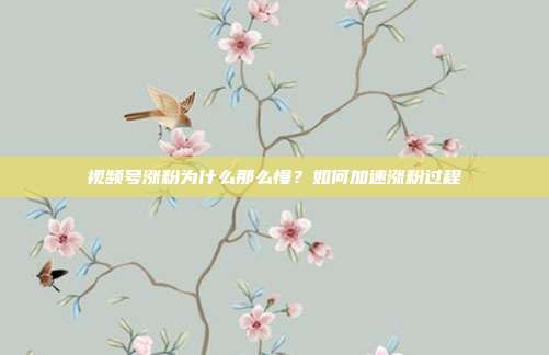 视频号涨粉为什么那么慢?如何加速涨粉过程