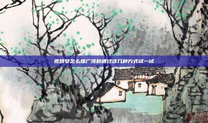 视频号怎么推广涨粉通过这几种方式试一试