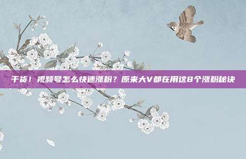 干货！视频号怎么快速涨粉？原来大V都在用这8个涨粉秘诀