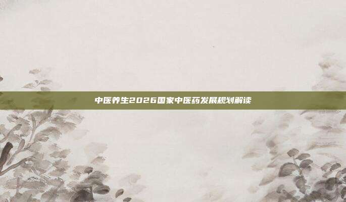 中医养生2026国家中医药发展规划解读