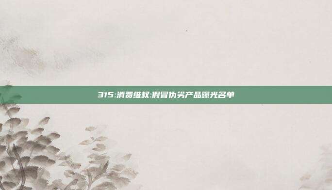 315:消费维权:假冒伪劣产品曝光名单