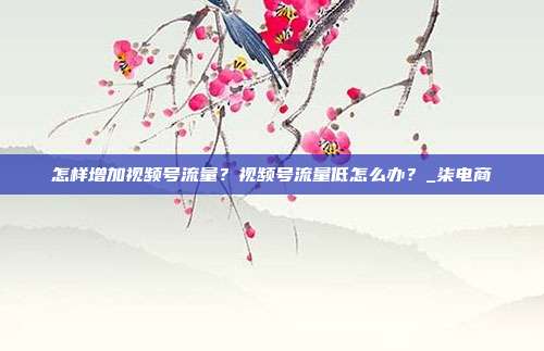 怎样增加视频号流量?视频号流量低怎么办?_柒电商