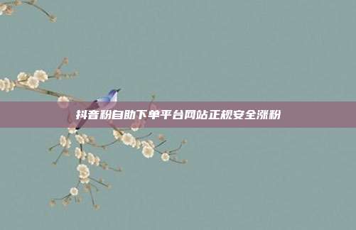 抖音粉自助下单平台网站正规安全涨粉