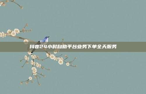抖音24小时自助平台业务下单全天服务
