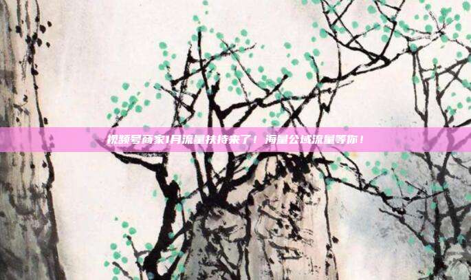 视频号商家1月流量扶持来了！海量公域流量等你！