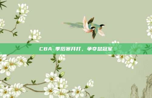 CBA 季后赛开打，争夺总冠军
