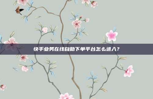 快手业务在线自助下单平台怎么进入？