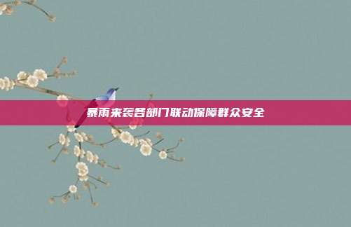 暴雨来袭各部门联动保障群众安全