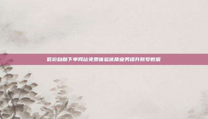 低价自助下单网站免费体验优质业务提升账号数据