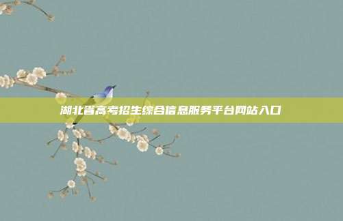 湖北省高考招生综合信息服务平台网站入口
