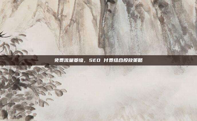 免费流量萎缩，SEO 付费组合投放策略