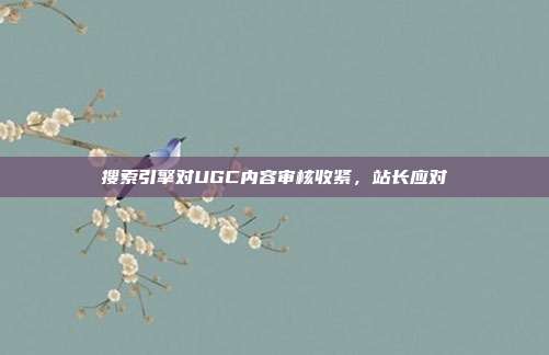 搜索引擎对UGC内容审核收紧,站长应对