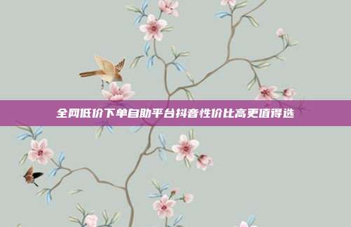 全网低价下单自助平台抖音性价比高更值得选