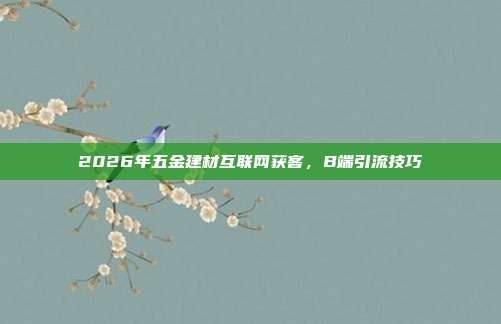 2026年五金建材互联网获客，B端引流技巧