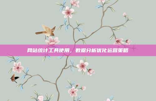 网站统计工具使用，数据分析优化运营策略