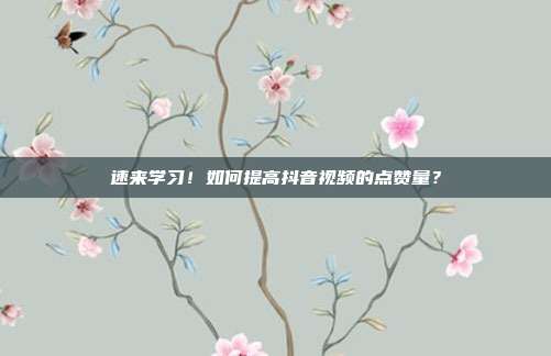 速来学习！如何提高抖音视频的点赞量？