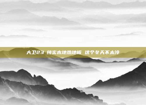 大卫23℃纯实木地热地板 这个冬天不太冷