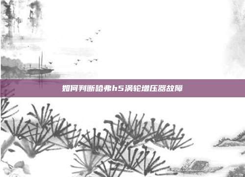 如何判断哈弗h5涡轮增压器故障