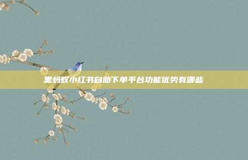 黑蚂蚁小红书自助下单平台功能优势有哪些