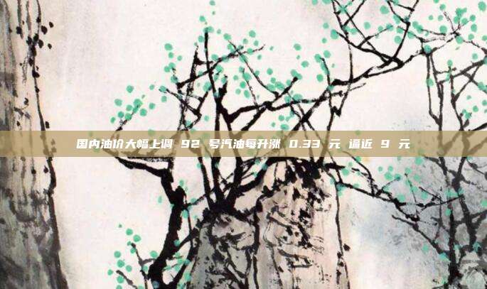 国内油价大幅上调 92 号汽油每升涨 0.33 元 逼近 9 元
