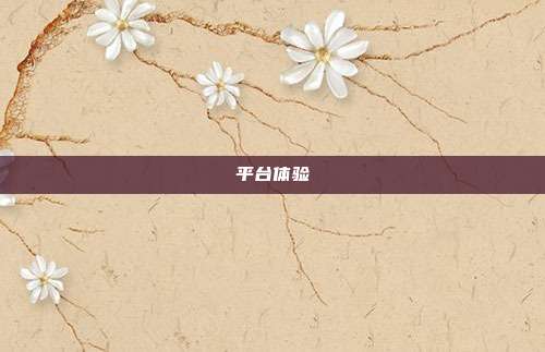 平台体验