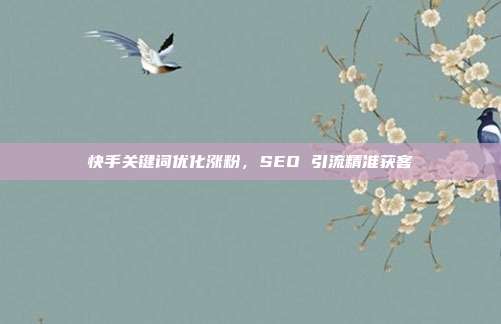 快手关键词优化涨粉,SEO 引流精准获客