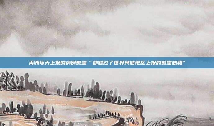 美洲每天上报的病例数量“都超过了世界其他地区上报的数量总和”