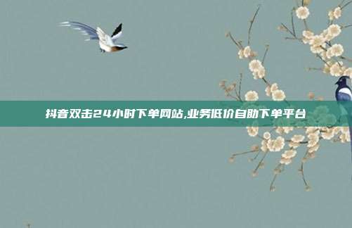 抖音双击24小时下单网站,业务低价自助下单平台