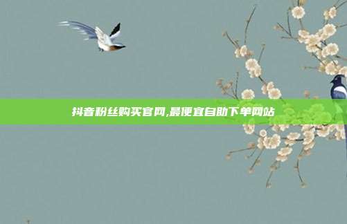 抖音粉丝购买官网,最便宜自助下单网站