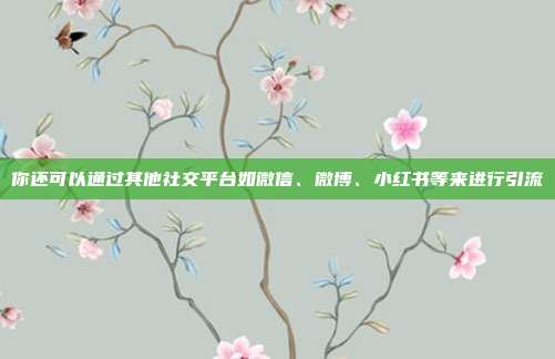 你还可以通过其他社交平台如微信、微博、小红书等来进行引流