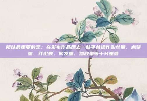所以最重要的是：在发布作品后去一些平台操作粉丝量、点赞量、评论数、转发量、播放量等十分重要