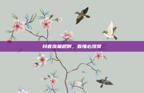 抖音流量规则,看懂必涨赞